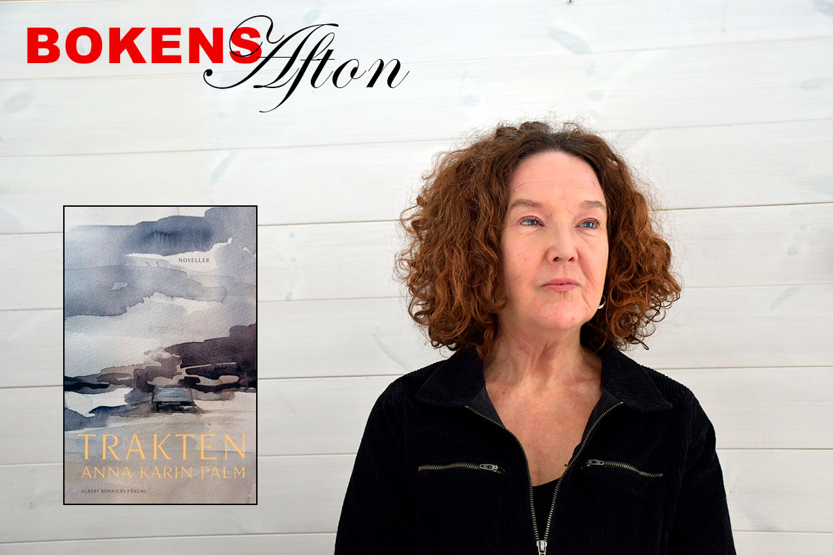 Banner: Anna-Karin Palm