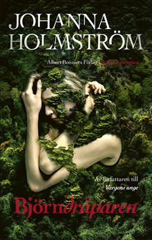 Bokomslag: Johanna Holmström, Björndråparen